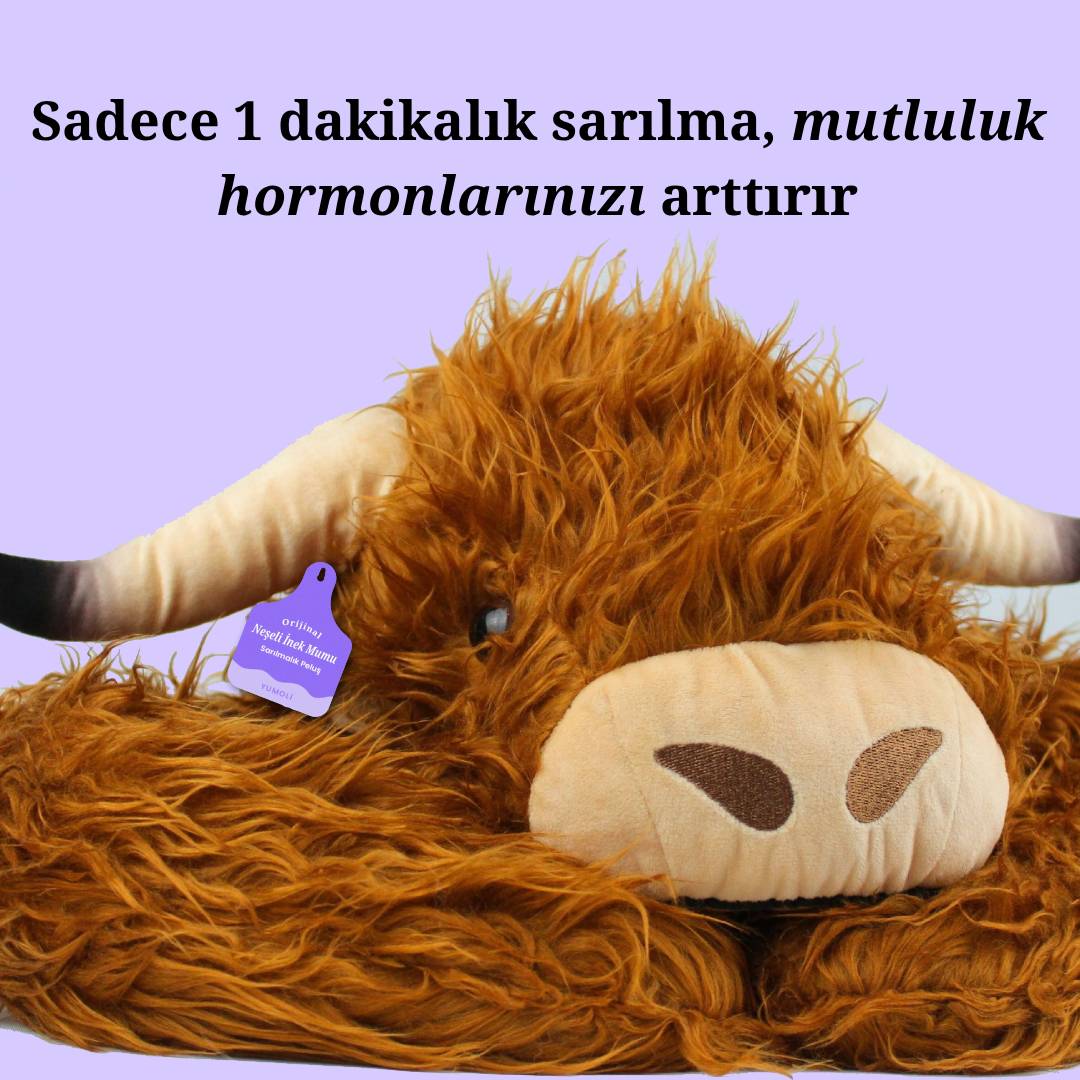 Yumoli - Neşeli İnek Mumu