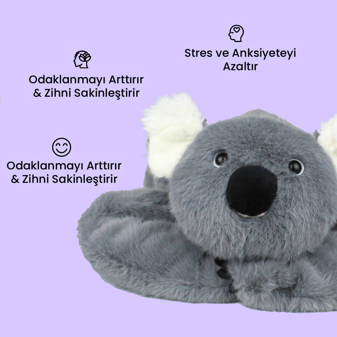 Yumoli - Sakin Koala Koko