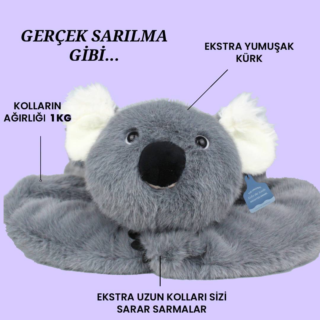 Yumoli - Sakin Koala Koko