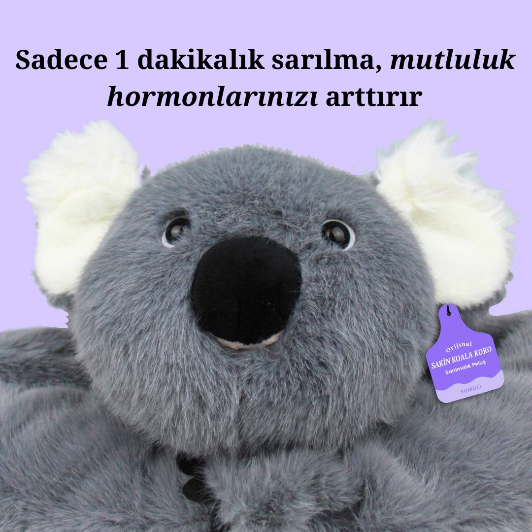 Yumoli - Sakin Koala Koko