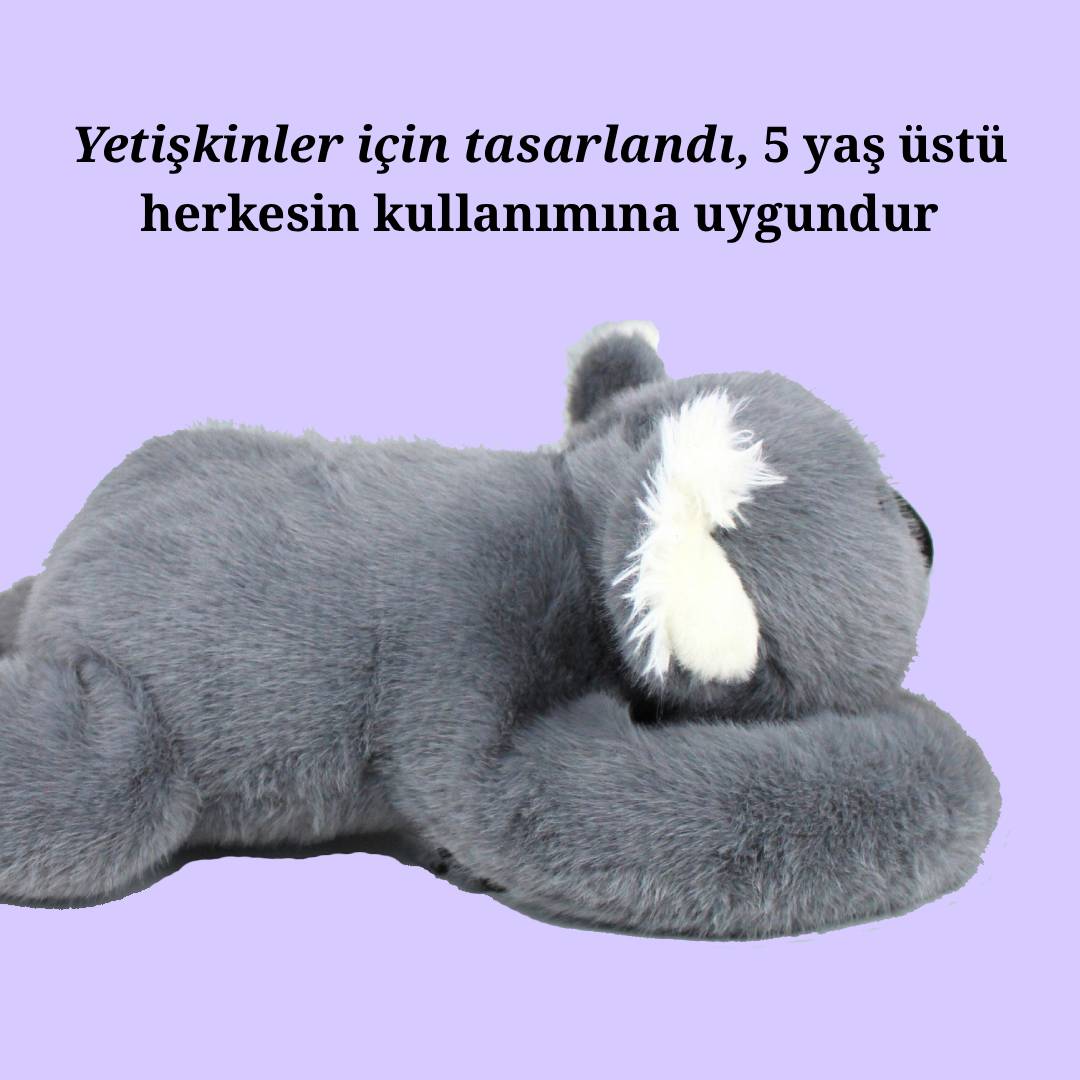 Yumoli - Sakin Koala Koko