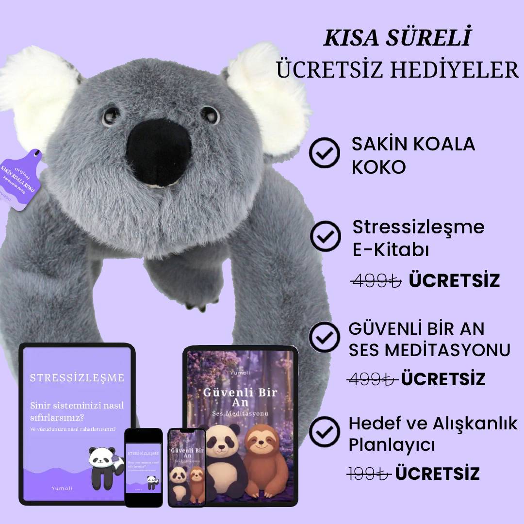 Yumoli - Sakin Koala Koko