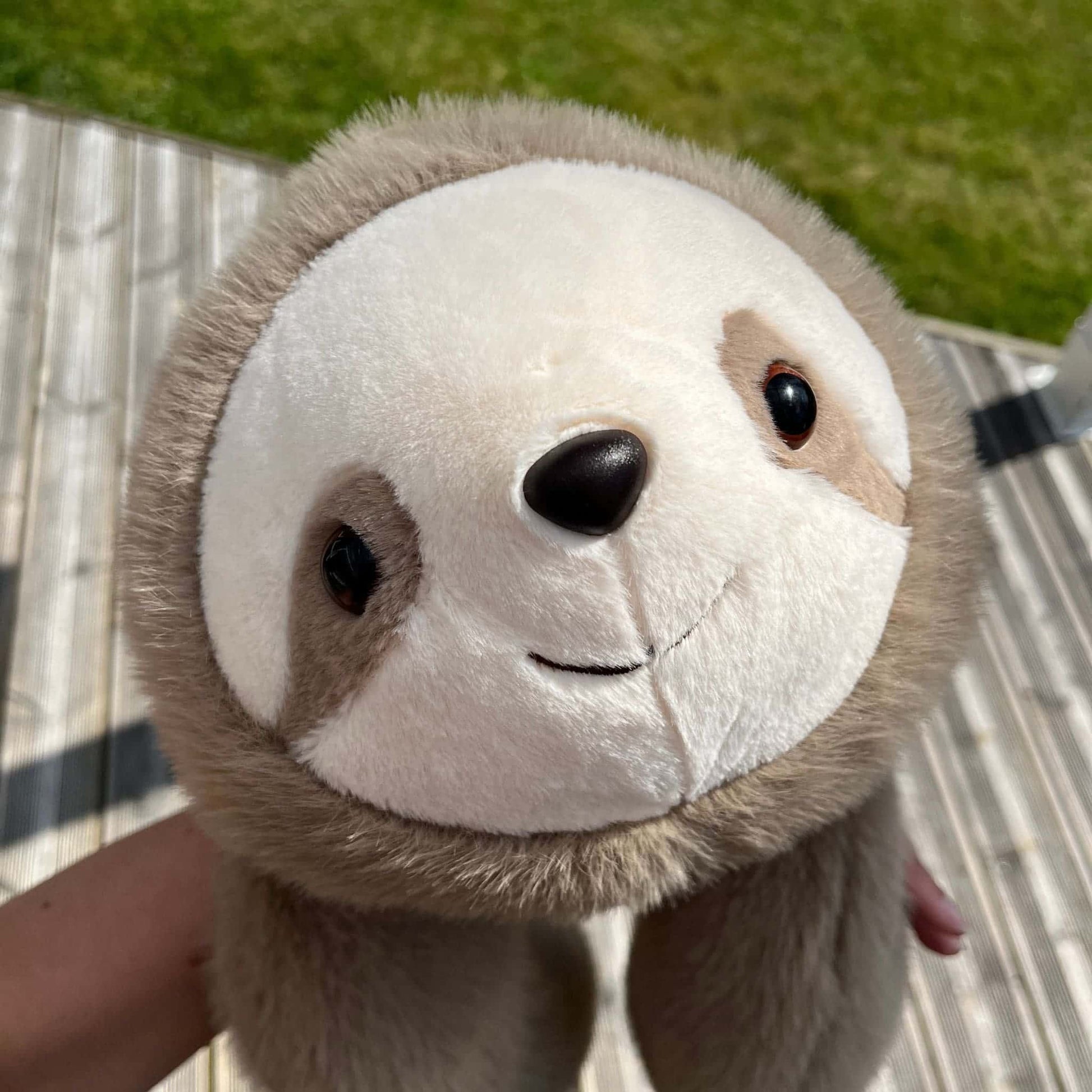 Yumoli - Uykucu Tembel Molu